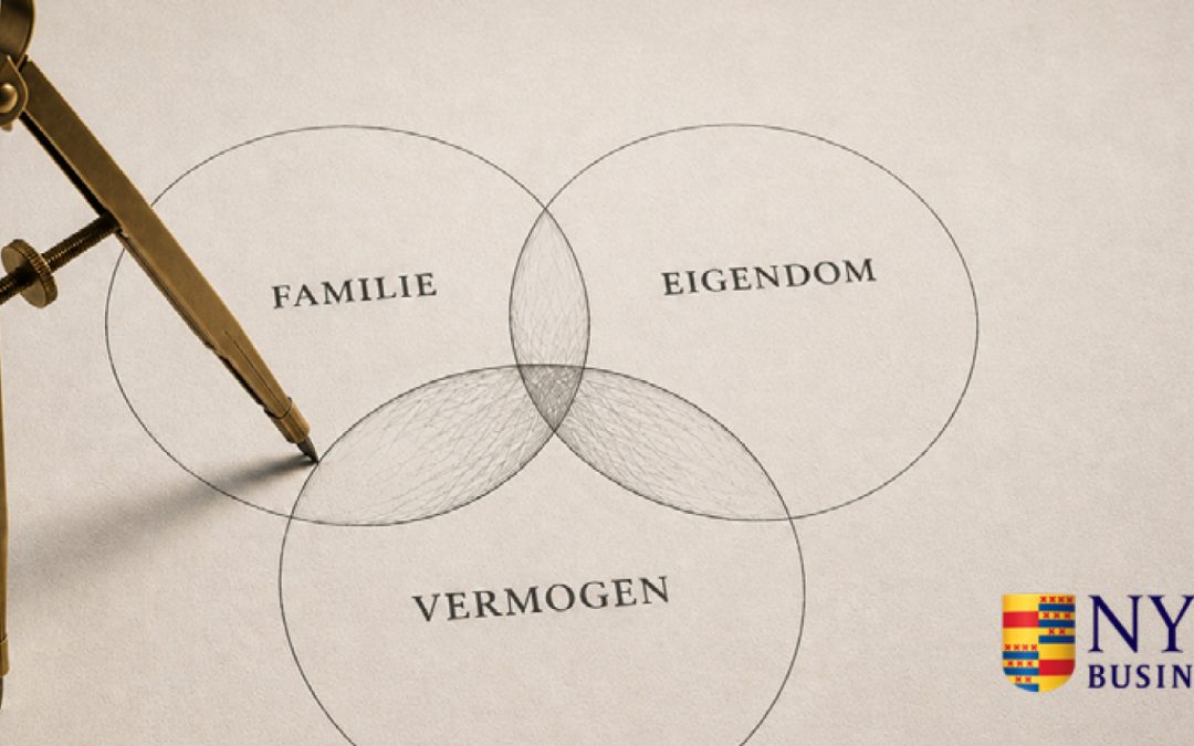 Nyenrode Private Wealth Program: familievermogen, governance en continuïteit